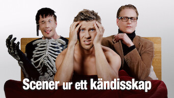 Scener ur ett kändisskap (2009)