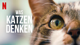 Was Katzen denken (2022)